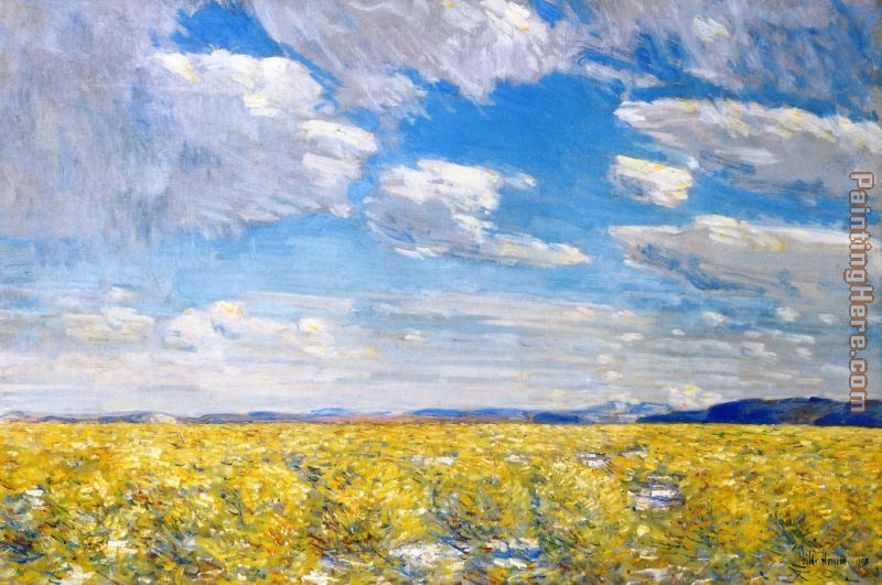 childe hassam Afternoon Sky, Harney Desert